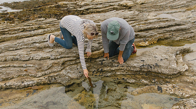 Watching the sea creatures in the tide pools.