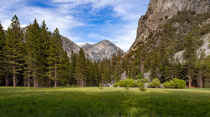 Zumwalt Meadow in Yosemite National Park