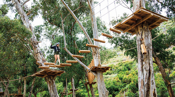 A visitor trying out a Catalina Aerial Adventure obstacle course