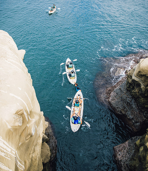 Kayakers exploring the La Jolla sea caves