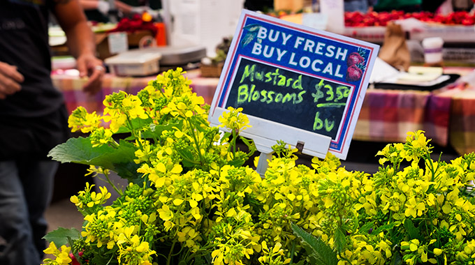 Mustard flowers used in cooking are available for sale at a neighborhood farmers market.