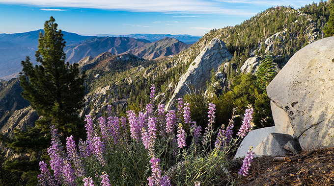 Views from the easy Long Valley Loop Trail