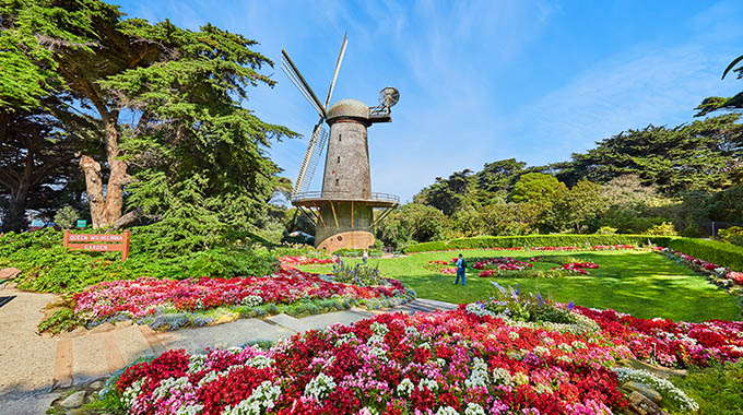 The Dutch Windmill, one of two in Golden Gate Park, once pumped water throughout the park.