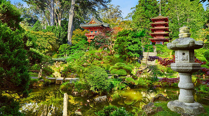 The Japanese Garden in San Francisco's Golden Gate Park