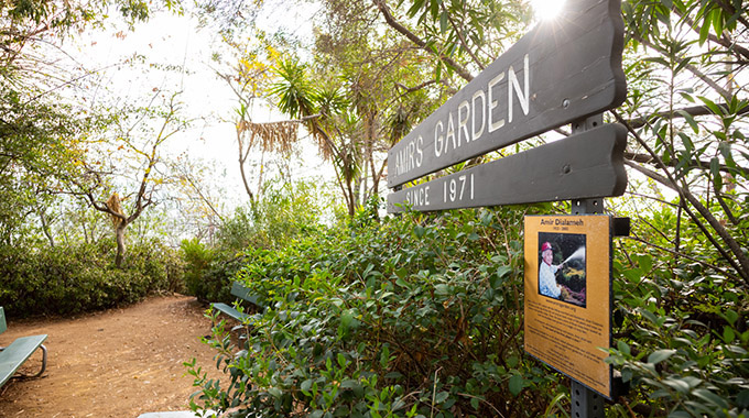 Amir’s Garden
