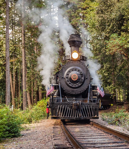 skunk train