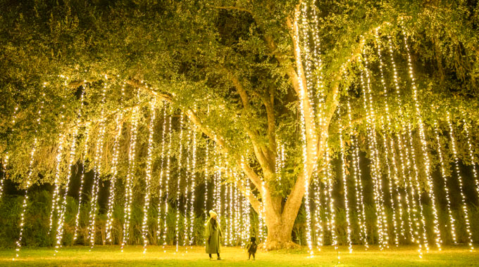 A woman and child stand underneath a large tree draped with strings of lights