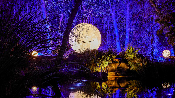 Globe-shaped lights illuminate Mulberry Pond in Descanso Gardens