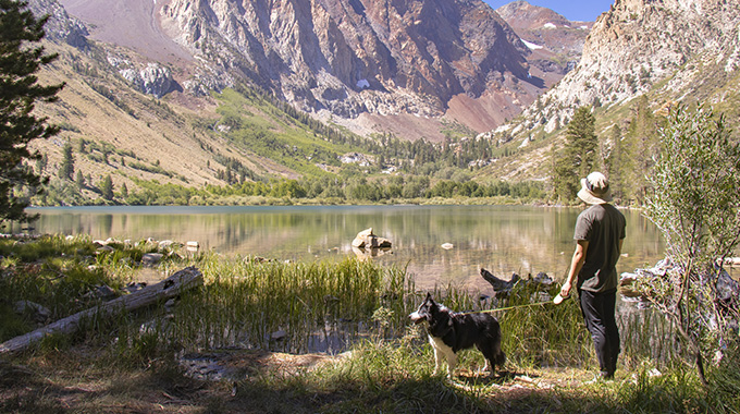 Young man and dog looking out toward Parker Lake from the trail