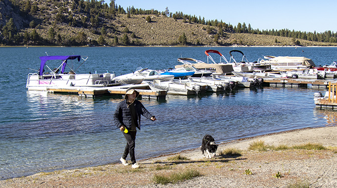 Young man and dog near watercraft docked at Big Rock Resort Marina