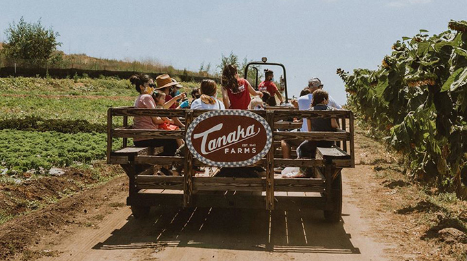 A wagon ride is part of the fun at Tanaka Farms in Irvine, California