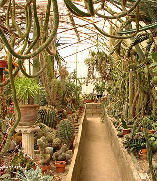 Moorten Botanical Garden and Cactarium