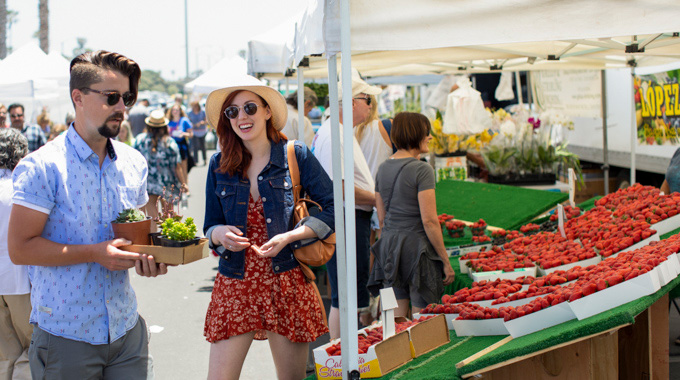 Couple carrying mini potted succulents at a farmers market.