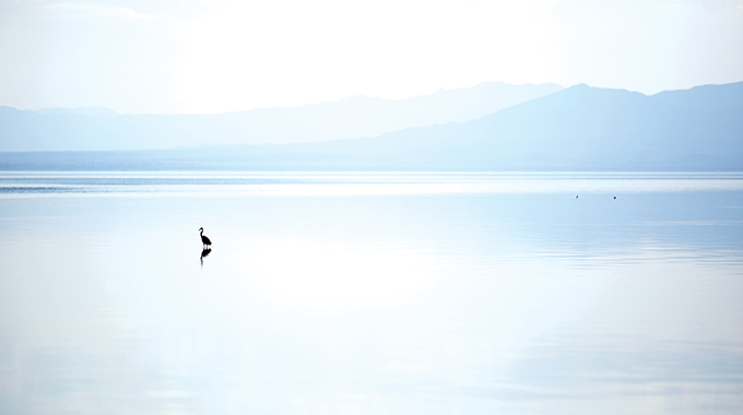 Salton Sea.