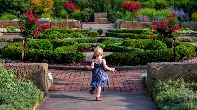 herb garden cleveland botanical garden