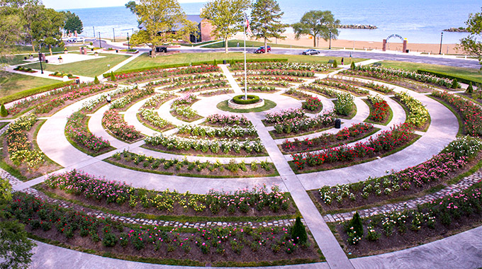 rose garden at lakeview park