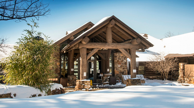 The stone and log elements of the Mather Lodge stand out against piles of snow