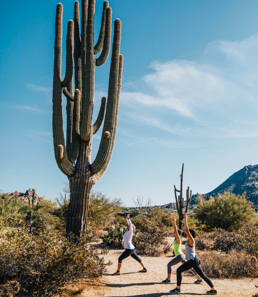 Desert Yoga