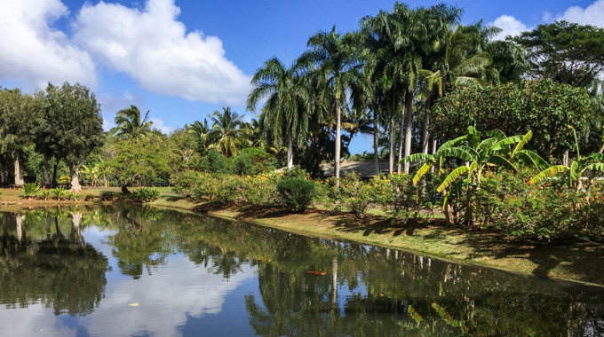 Smith Family Garden