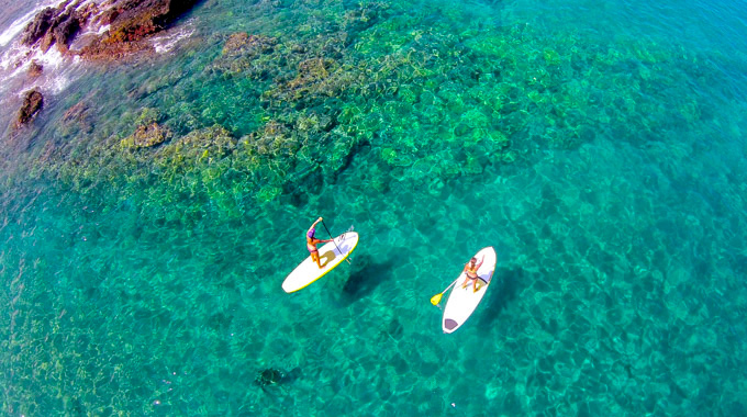 Overhead view of stand-up paddle boarders.