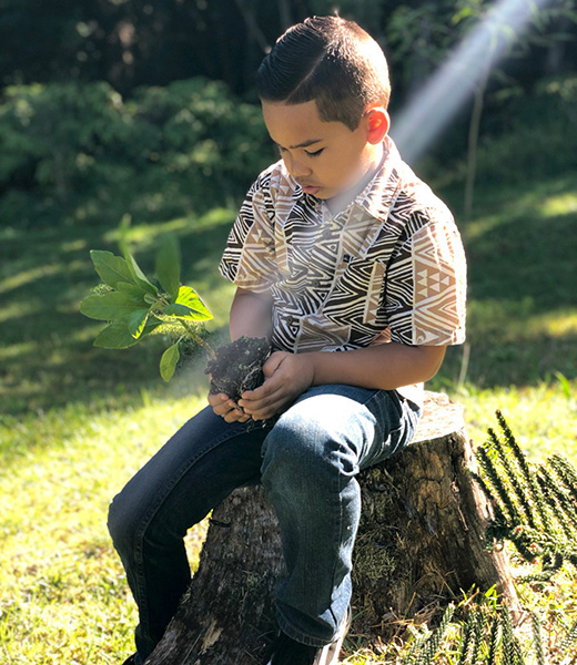 Keawehano Comstock, age 8, planting this Legacy Koa Tree.