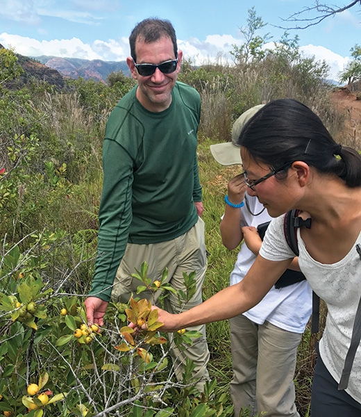 A family picks guava along the rim of Waimea Canyon on an outing with Kaua‘i Hiking Tours. 
