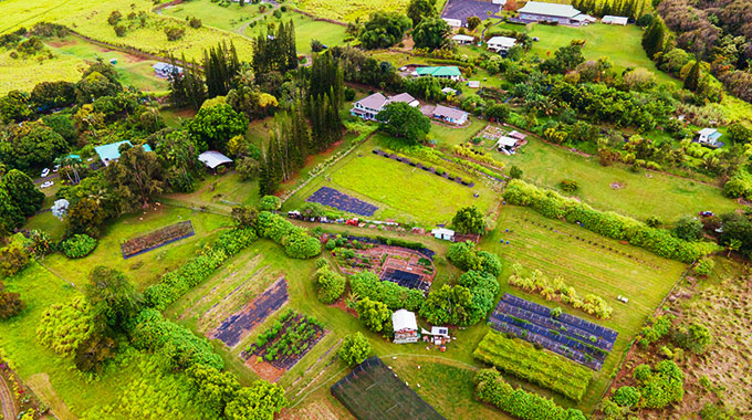 Nakihalani Farm