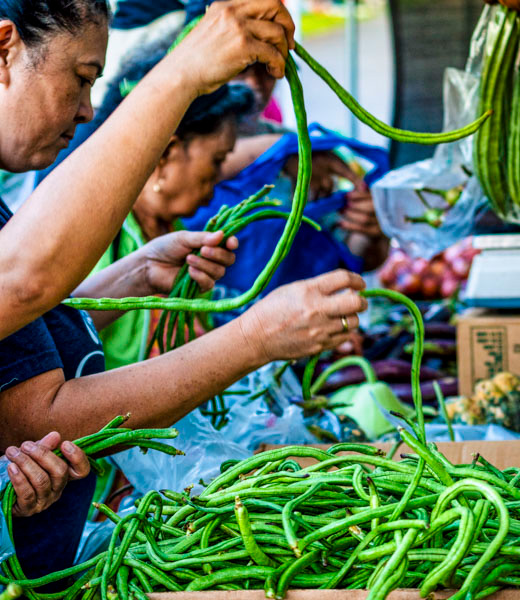 Shoppers sorting through long beans