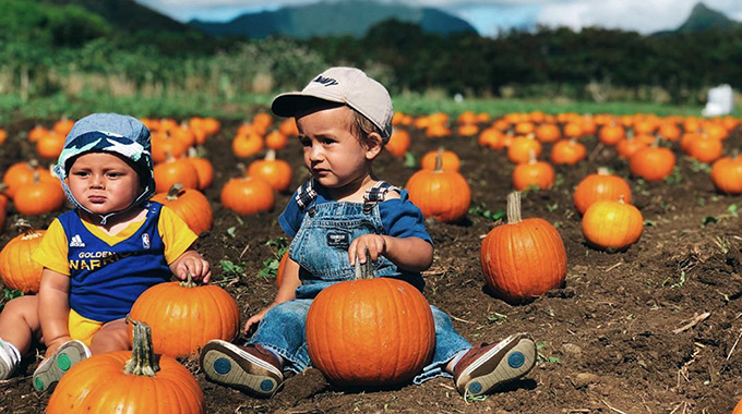 A bright spot for tots has been Waimanalo Country Farm’s annual Pumpkin Patch. The 2021 event will be drive-through. | Photo courtesy Waimanalo Country Farms 