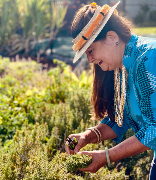 Ka'iulani Blankenfeld gathering a handful of herbs