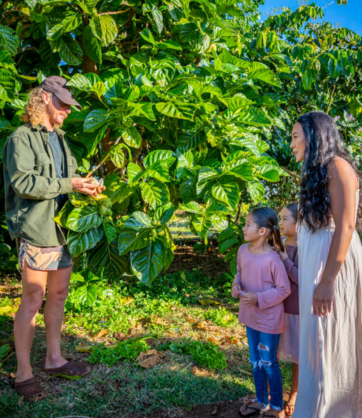Farmer showing plants to a family of 3 during the "agrication" tour