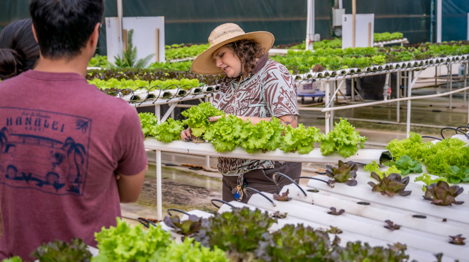 Ashly Trask showing guests lettuce growing in the hydroponic garden