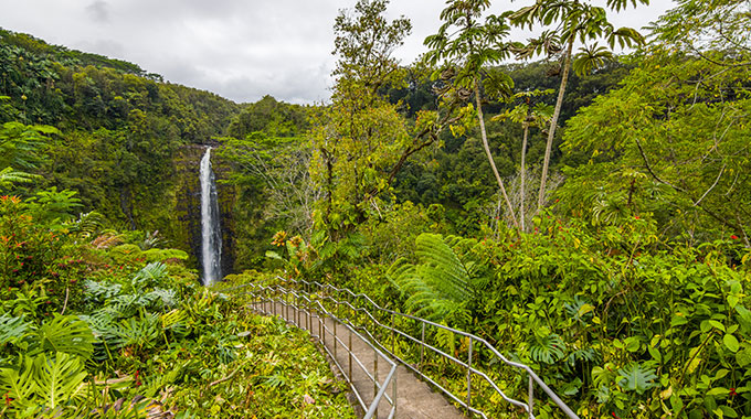 'Akaka Falls Trail