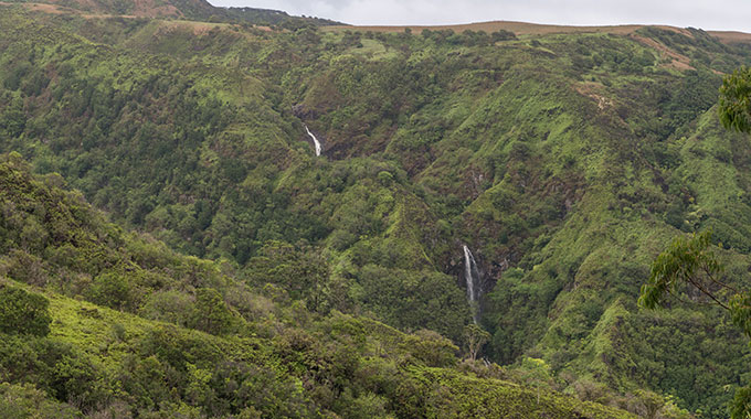 Waihe's Ridge Trail