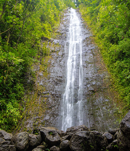 Manoa Falls