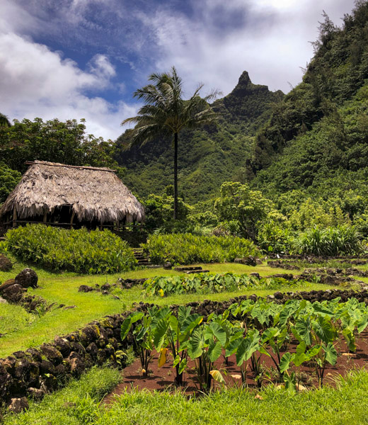 Kaua'i