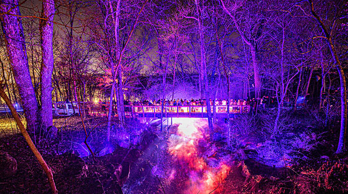 Guests at Crystal Bridges Museum of American Art can walk through nature-inspired lighting elements and soundscapes in the museum’s North Forest Lights display. | Photo courtesy Arkansas Tourism