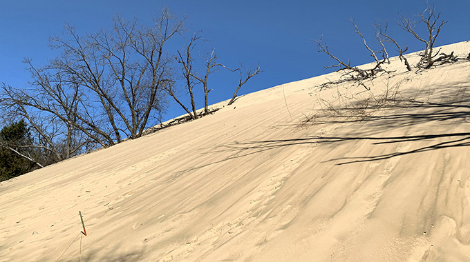 Mount Baldy is an example of a sand dune that is still evolving. Rangers lead hikes to explore the 125-foot dune, including at sunset. | Photo by Fran Golden