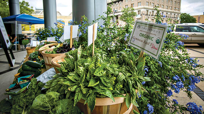 Alexandria Farmers Market