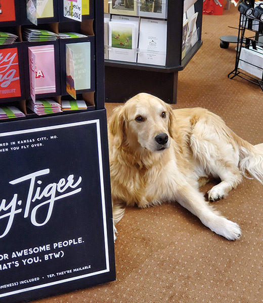 Clemmie, a golden retriever, complements the eclectic collection at Baker’s Fine Gifts and Accessories. | Photo by Karen Eakins