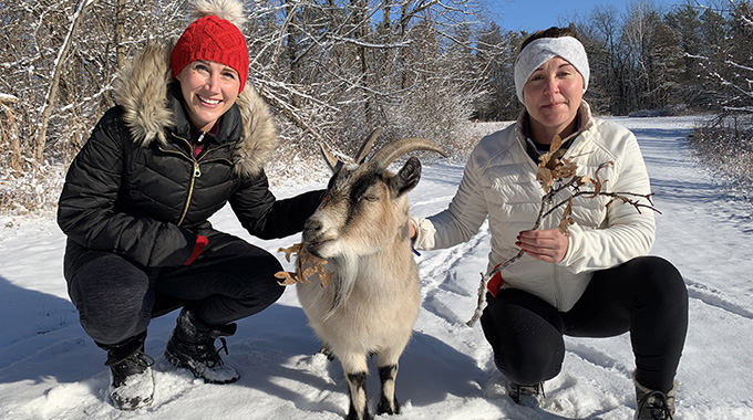 Goats accompany guests on a variety of different hikes with Hoof It Goat Treks, including some featuring bonfires or wine tastings. | Photo courtesy Hoof It Goat Treks® 