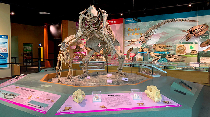 mississippi museum
