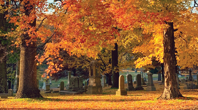 Bellefontaine Cemetery and Arboretum’s 9,000 trees explode in fall color. | Photo by Jim Corbett III
