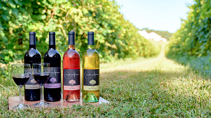 There’s a wine for every palate at Noboleis Vineyards situated on 84 acres in the rolling hills of Augusta. | Photo courtesy Noboleis Vineyards