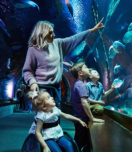 Woman and 3 children looking into at fish inside an aquarium tank