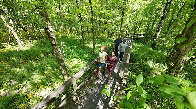 Hikers surrounded by trees and greenery in Natchez Trace Parkway