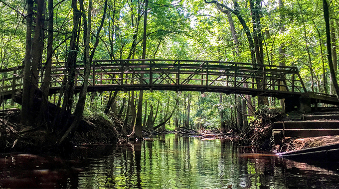 Congaree National Park