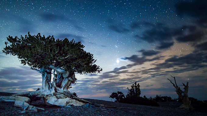 Great Basin National Park