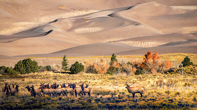 Great Sand Dunes National Park