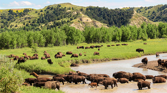 Theodore Roosevelt National Park